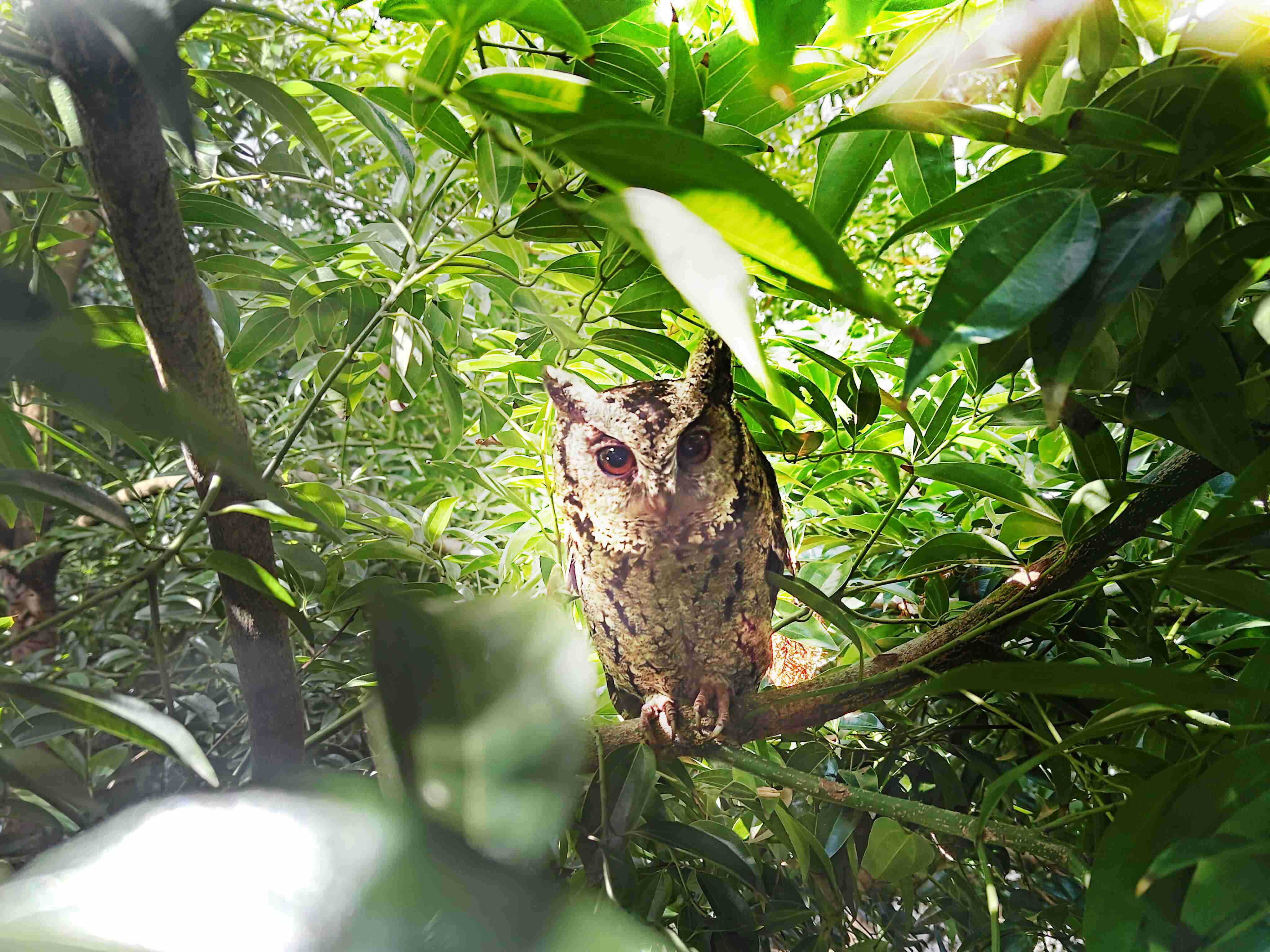 william威廉中文官网致力提倡净零绿生活，，，16年以来在全球各厂区植树逾百万棵，，，，造就各厂区树木蔚然成林，，，犹如森林工厂，，，，成为许多生物的栖息地